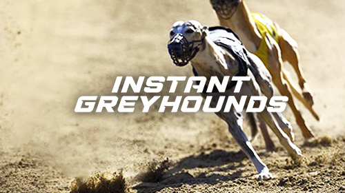Instant Greyhounds
