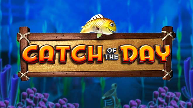 Catch of the Day