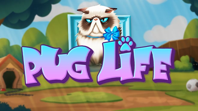 Pug Life