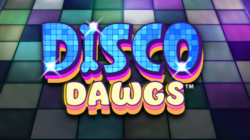 Disco Dawgs