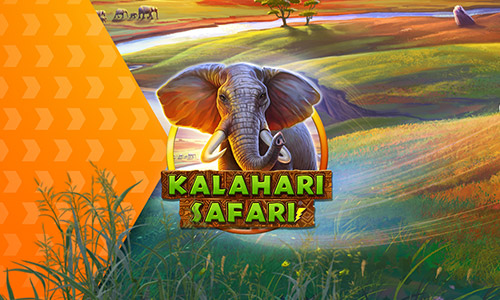Kalahari Safari