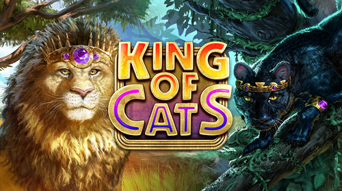 King of Cats
