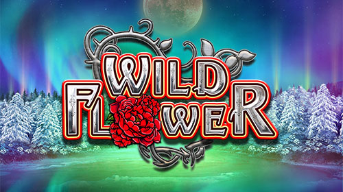 Wild Flower