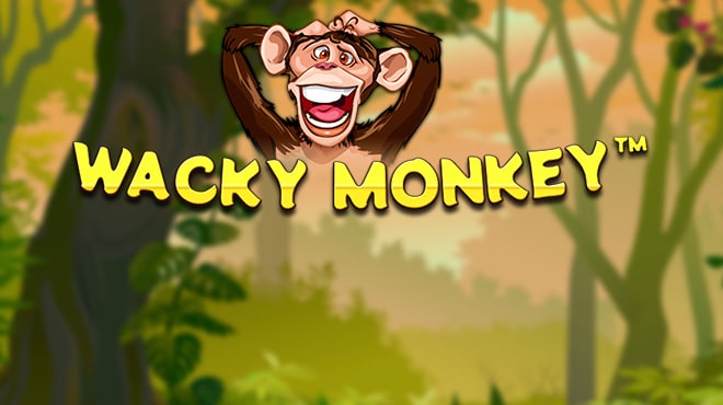 Wacky Monkey