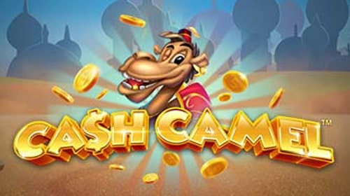 Cash Camel