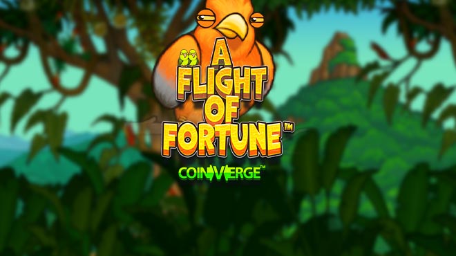 A Flight of Fortune