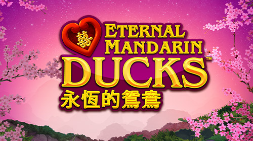 Power Prizes Eternal Mandarin Ducks™