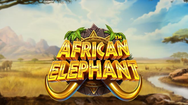 African Elephant