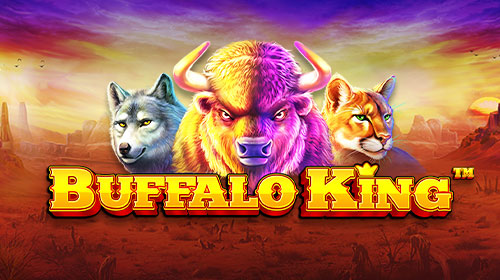 Buffalo King