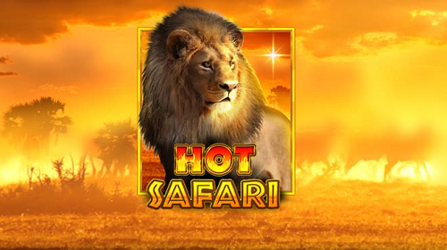 Hot Safari