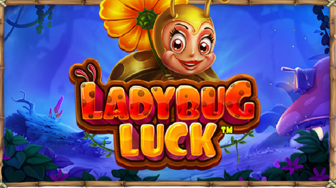 Ladybug Luck