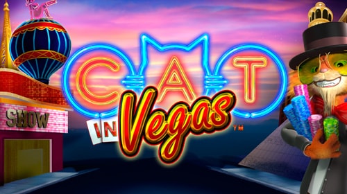 Cat in Vegas