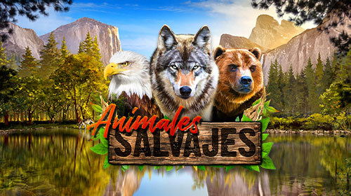Animales Salvajes
