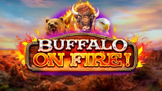 Buffalo on Fire!