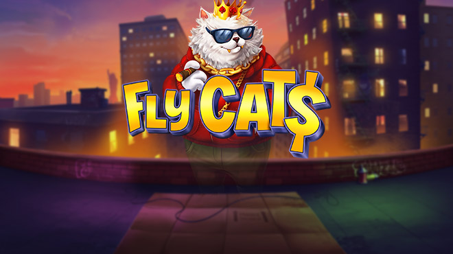 Fly Cat$ 