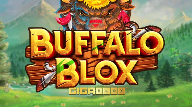 Buffalo BloxGigablox