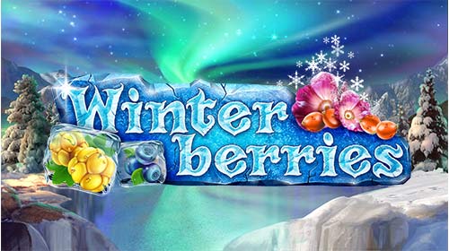 Winterberries